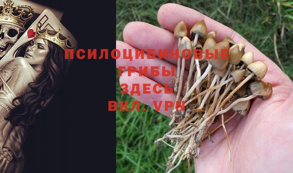марки nbome Абаза